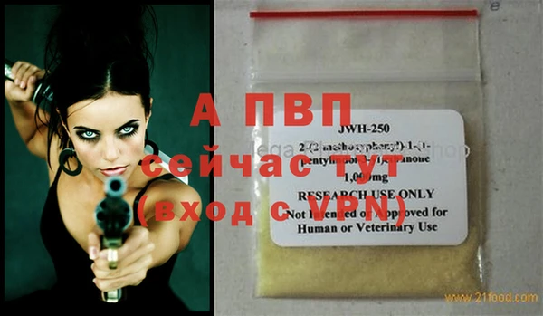 гашик Богданович