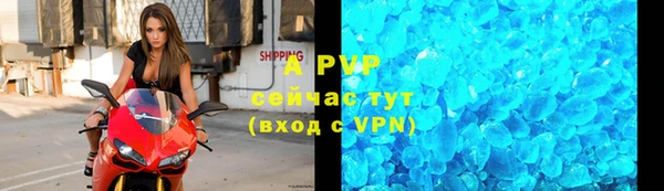гашик Богданович