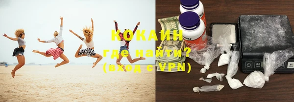 гашик Богданович