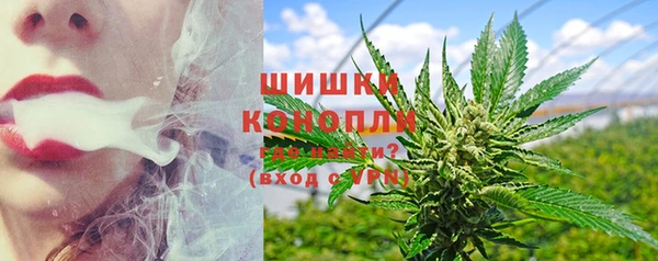гашик Богданович