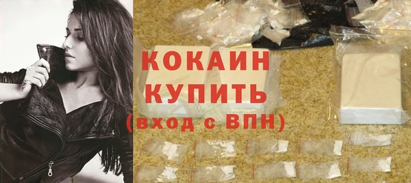 гашик Богданович